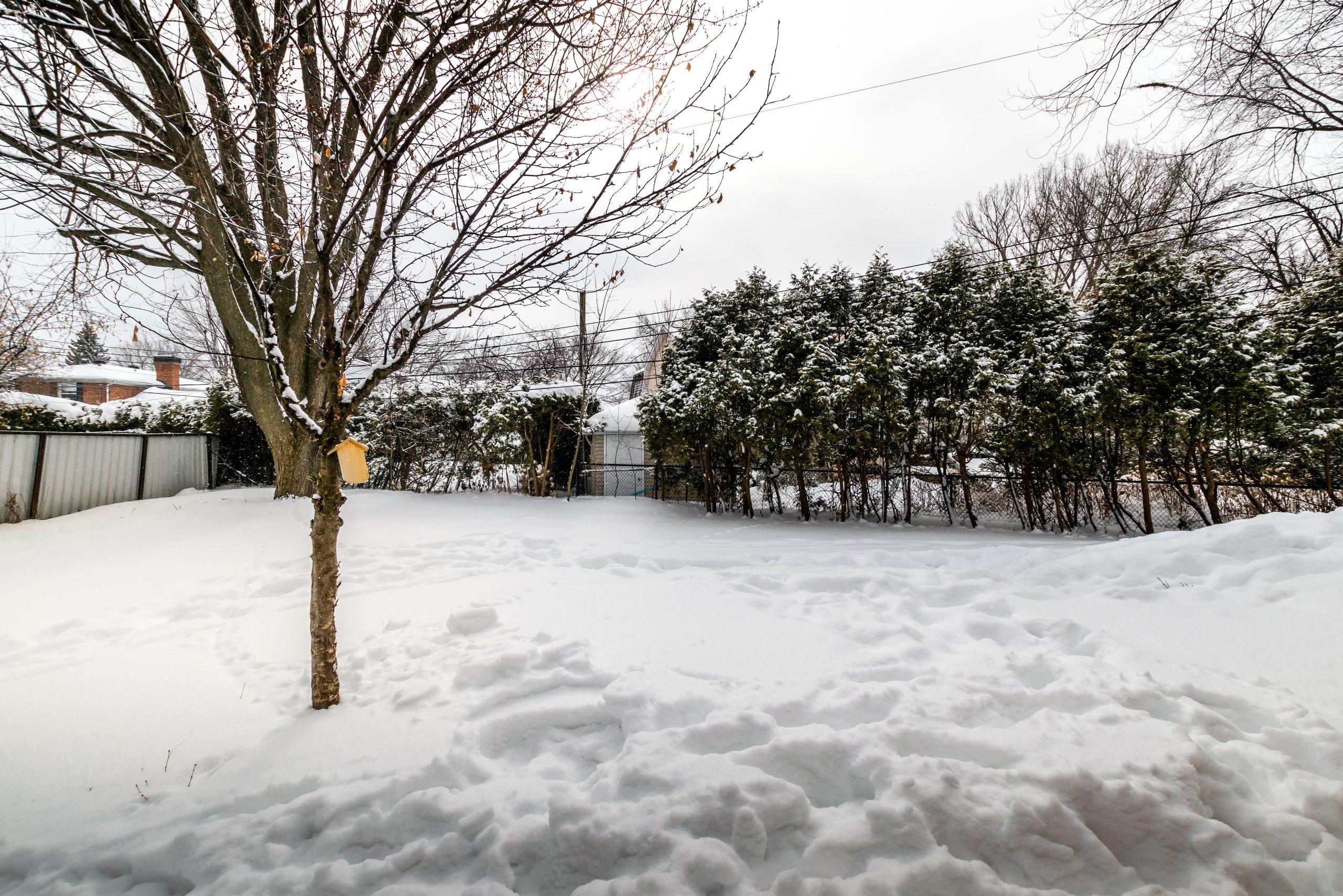 Winter pool monitoring and protection by AquaPros